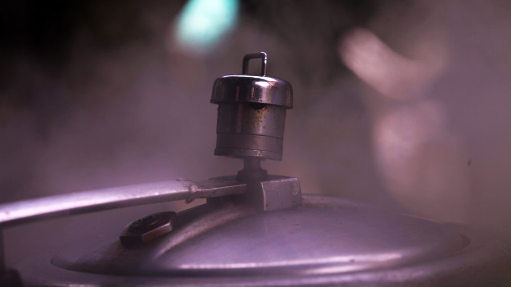 Steam valve gasket