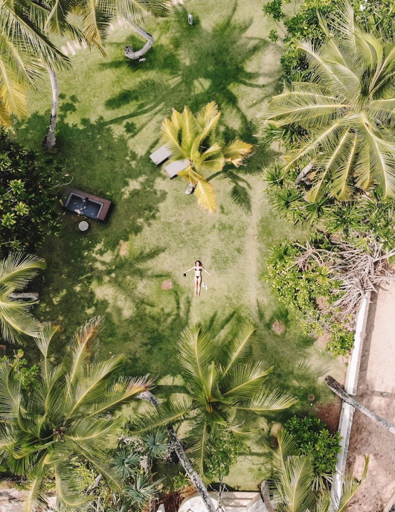 dobri i loši susjedi u vrtu